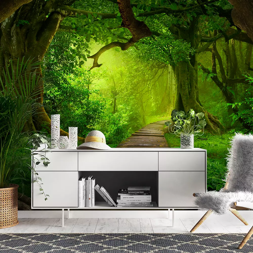Asian tropical rainforest