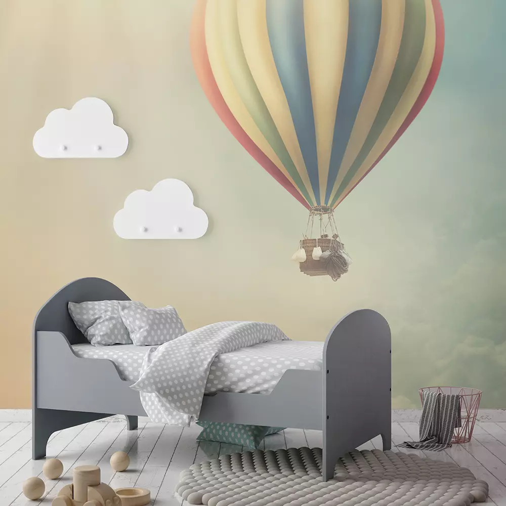 HOT AIR BALLOON