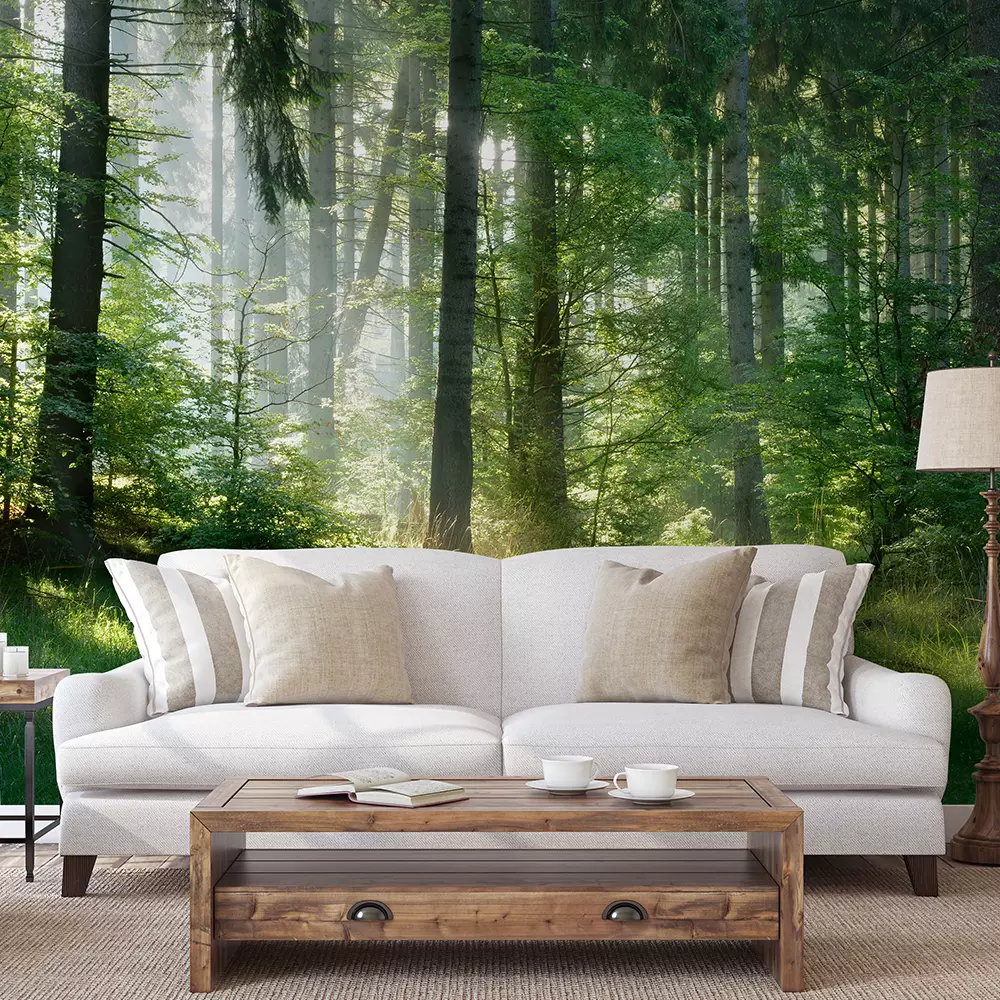 MYSTIC FOREST