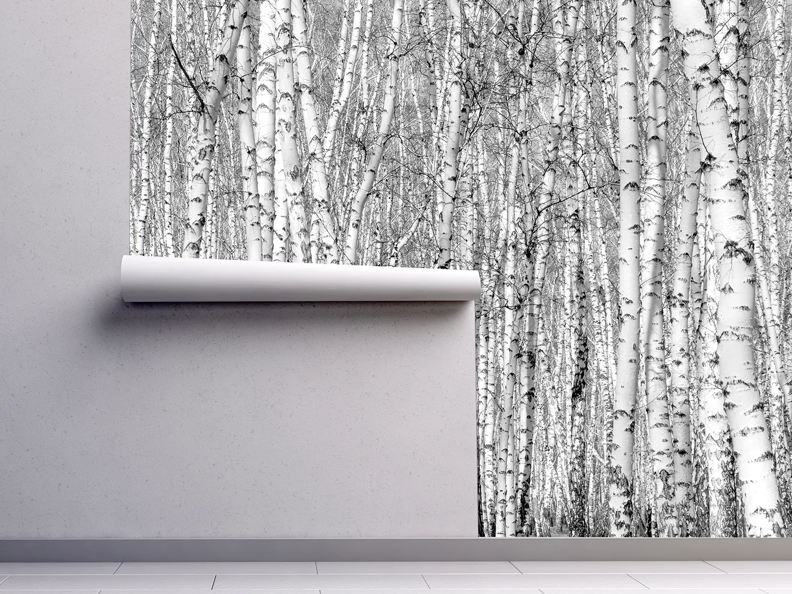 Detailed black and white birch tree photo showcasing textured white bark and forest grove patterns – high-quality photography wall art print by Mera Wala Print for home decor