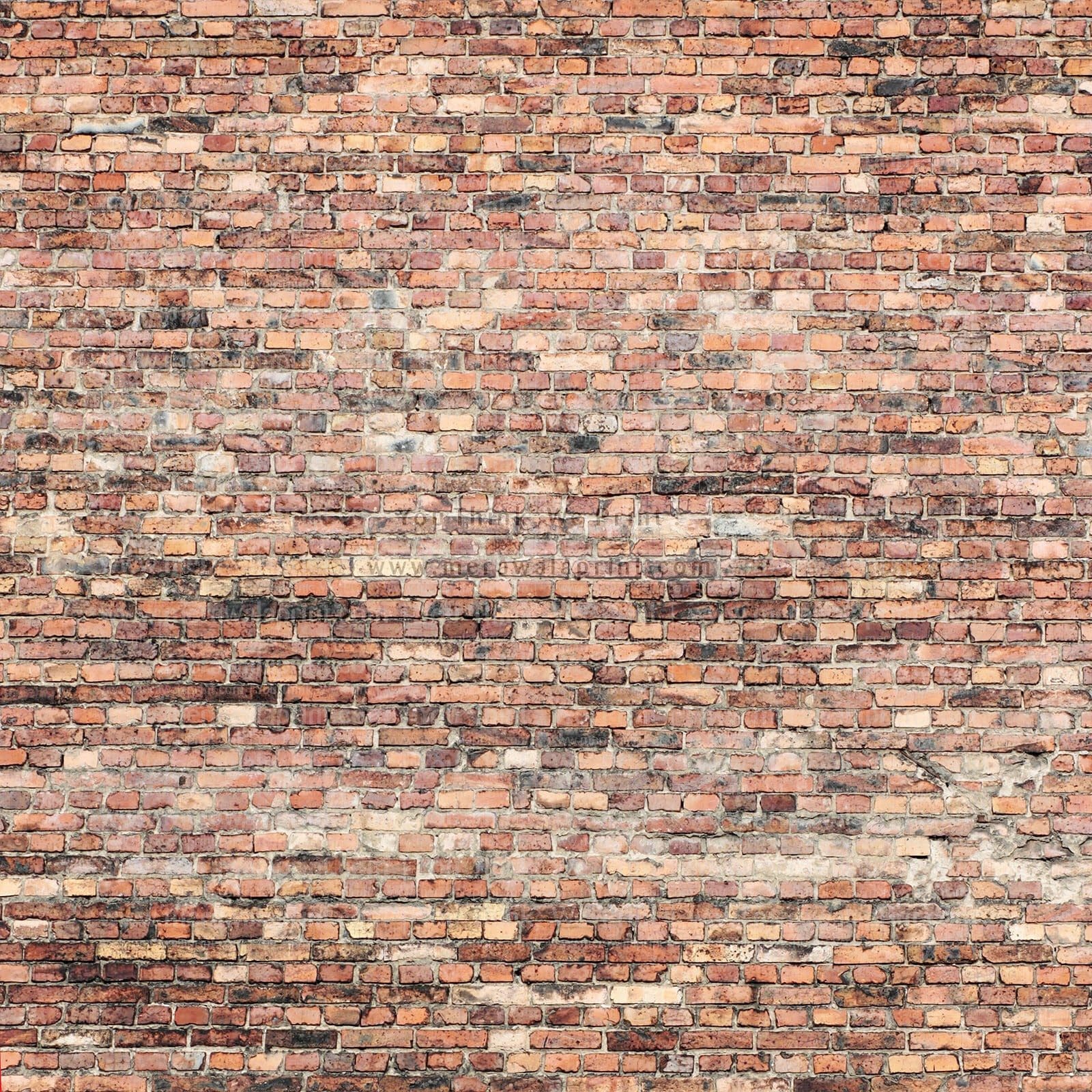 Realistic brick wall wallpaper custom printed by Mera Wala Print for stylish home and commercial decor.